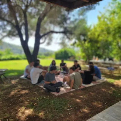 תיאור תמונה